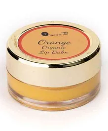 Organic B Orange Lip Balm- 8 gm