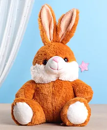 KIDZ Bunny Soft Toy Height 20 cm (Colour May Vary)
