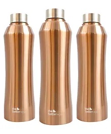 The Better Home 1000 Stainless Steel Water Bottle Golden Pack Of 3 - 1 Litre Each