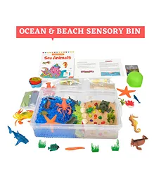 Awesome Place The Parent Break Ocean And Beach Themed Sea Animals Tactile Sensory Play Toys For Kids With Water Beads Various Tools Sea Creatures Sea Animal Craft Book With Storage Box Great Sensory Bins - Multicolour 