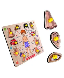 Enorme  Mini Wooden Human Body Parts Puzzle with Knobs Multicolour - 10 Pieces