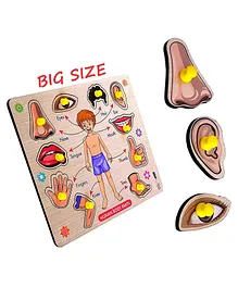 Enorme Big Wooden Human Body Parts Puzzle with Knobs Multicolour - 10 Pieces