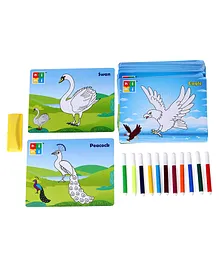 Toyenjoy Colour And Wipe Birds Flash Cards - 24 Cards