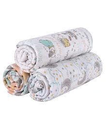 Abracadabra Cotton Muslin Swaddle for Newborns Sleepy Friends Pack of 3 - Multicolor