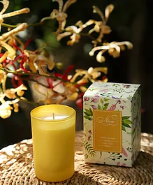  Niana Orchid Candle - Yellow
