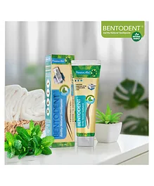 Bentodent Earthy Natural Toothpaste Premium Mint Pack of 2 - 200 gm