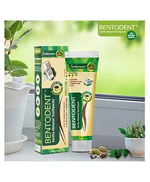 Bentodent Earthy Natural Cardamom Toothpaste Pack of 2 - 100 gm each 
