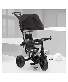 Dash Raptor 3in1 Cycle with UV Protection Canopy Parental Handle & Protective Arm Rest - Black