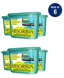 ABSORBIA Moisture Absorber Classic  Box Pack of 6 - 300g each