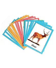 Creative Discover Animals Flash Cards - 36 Cards