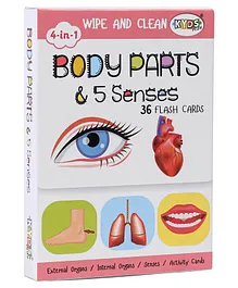 Kyds Play Flash Cards Body Parts - 36 Piece