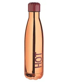 Nayasa Ebony Copper Finish Vacuum Bottle Maroon - 500 ml