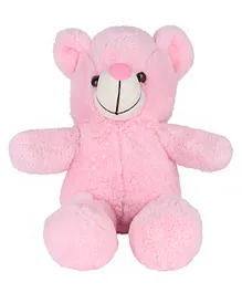 Kids Wonders Rainbow Teddy Pink - Height 40 cm