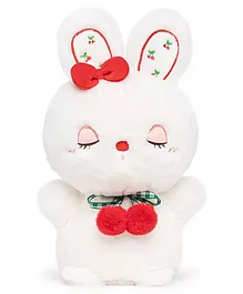 Little Hunk  Rabbit Soft toy - Height 25cm (Colour may Vary)
