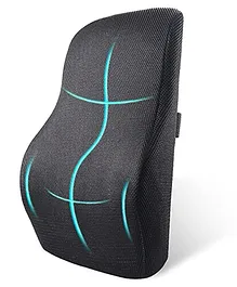 Sleepsia Orthopedic Lumbar Support Memory Foam Back Cushion, Back Rest Cushion For Car, Chair and Office Chair (Black) Pack of 1