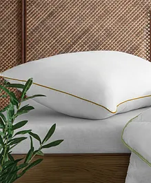 Sleepsia Large Fluffy Ultra Soft Hotel Pillows For Sleeping Alternative-Microfiber Filler Pillow For Side Back and Front Sleeper ( Pack Of 1)