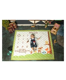 New Comers Milestone Multipurpose Blanket and Props Set - Green Off White