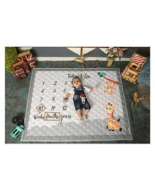 New Comers Milestone Multipurpose Blanket and Props Set - Grey Orange