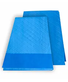Meechu Extra Absorbent Disposable Underpads Sheets Pack of 10 - Blue