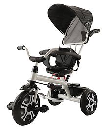 JoyRide 4 in 1 Convertible Baby Tricycle Removable Handle Canopy - Black