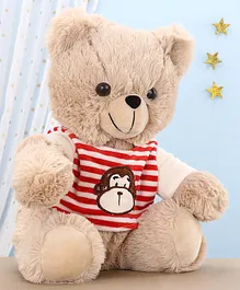 Edu Kids Toys Teddy Bear Soft Toy Brown - Height 30 cm (Color May Vary)