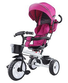 JoyRide 4 in 1 Reversible Tricycle with Parent Handle Canopy Storage Pouch Pink