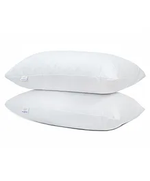 MY ARMOR Microfiber Pillows Pack of 2 - White