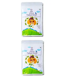Feed Smart Power Packed Seeds Powder - 300 g