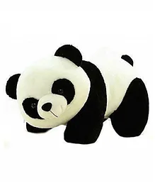 Frantic Premium Soft Toy Black Baby Panda for Kids - Height 32 cm