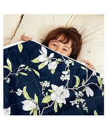 Divine Casa Microfiber Comforter Blanket For Toddler Upto 4 Years - Green & Blue
