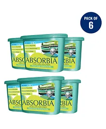 ABSORBIA Absorbia Classic Moisture Absorber Family Pack of 6 - 600 ml Each