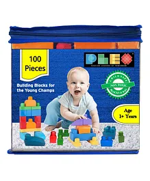 Plex Bags Big Building & Construction Blocks - 100 Pieces
