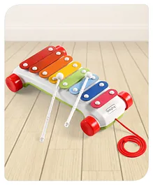 Babyhug Pull Along Xylophone with Attractive Colors - Green