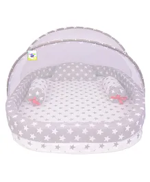 Toddylon Baby Luxury Bedding Set New Born Mattress with Mosquito Net (0-6 Months) Grey