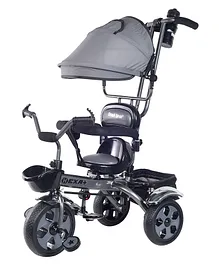Dash Star Hexa Super Tricycle with Canopy - Grey