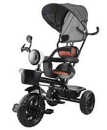 Joyride Musical And Light Tricycle with Canopy for Kids - Black