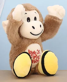 AAROHI TOYS PeekABoo Monkey Soft Toy (Color May Vary)