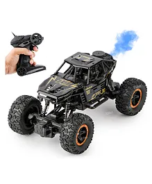 Fiddlerz Remote Control Rock Crawler Water Mist Spray High Speed RC Car Toys For Boys USB Rechargable 4WD Off Road Vehicle Toy Cars for Kids Best Birthday Gift - Black