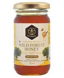 Shiva Organic Wild Forest Honey NMR and NPOP Certified 100% Natural Healthy and Pure No Added Sugar Flavour Unadulterated Sourced Ethically - 250 g