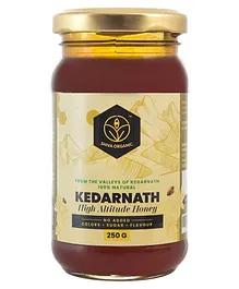 Shiva Organic Kedarnath Honey Pure and Natural Hey from Himalayan Range No Added Sugar - 250 g