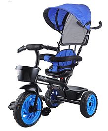 Toyzoy Fizzy Ride Tricycle with Canopy for Kids - Blue