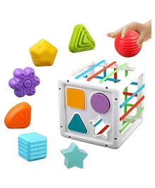 SANISHTH Shape Sorter Baby Toys Developmental Learning 10 Pieces Sensory Shape- Multicolor