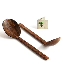 Thenga Natural Handmade Coconut Shell Serving Spoon - Brown