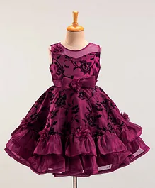 Bluebell Woven Net Sleeveless Party Frock with Floral Print - Wine