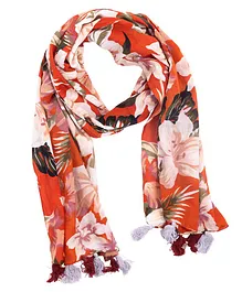 Jewelz Chiffon Printed Glossy Stole - Multi Colour