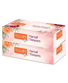 Tulips Premium Facial Tissue Paper Box - Pack of 2