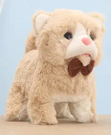 Aarohi Toys Musical Poochie Cat Beige - Length 15 cm
