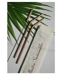 Almitra Sustainables Reusable Copper Straw (Straight) Pack of 2 with Cleaner