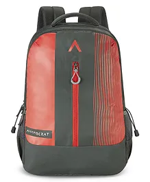 Aristocrat Apex Backpack with Raincover Grey - Height 19 Inches
