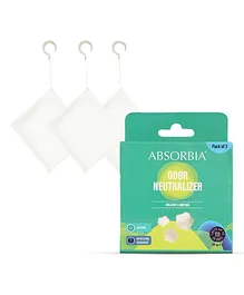 Absorbia Natural Camphor Natural Air Freshener & Bug Repellent - 60 g